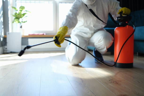 Reliable Infectious Disease Decontamination contractor in Shaver Lake, CA by Trauma Clean Pros